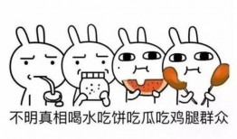 吃瓜群众的意思是,网络时代的围观者与传播者