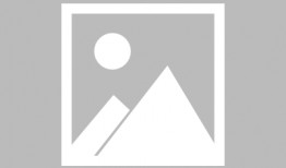 穿越娱乐圈吃瓜小说