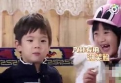 娱乐吃瓜艺人,吃瓜艺人背后的故事