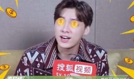 娱乐圈吃瓜王鹤棣,娱乐圈吃瓜王，揭秘明星幕后故事